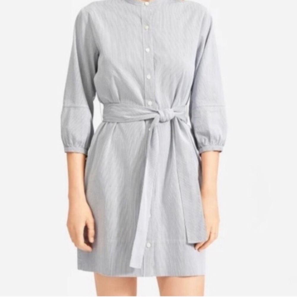 Everlane pinstripe bottom down shirt dress Casual cotton size 4